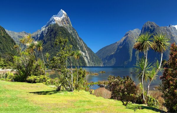 new-zealand-3021090_1280