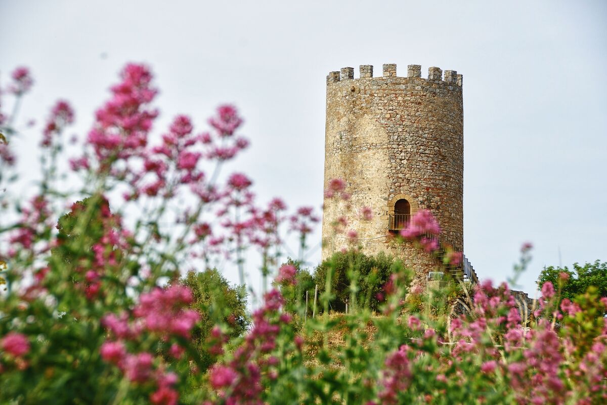 Itinerari Arte e Natura